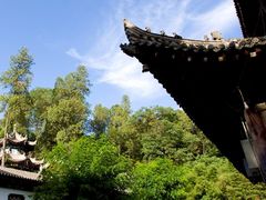 -兴教寺