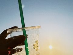 -DECAMERON十日谈(南头古城有熊店)