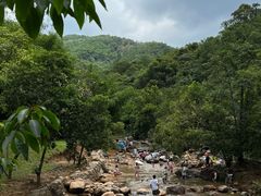 -广州白江湖森林公园