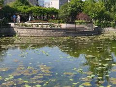 -嘉定紫藤园
