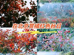 -京东石林峡风景区
