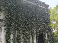 -鸣鹤古镇