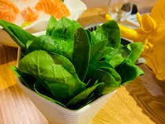 -尚海豆捞(乐虹坊店)