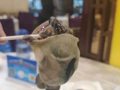 -有腥气私房菜·寻味顺德
