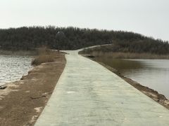-南大港湿地风景区