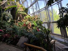 -北京植物园-展览温室