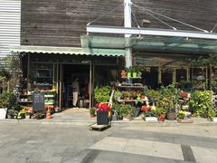 -白塘生态植物园