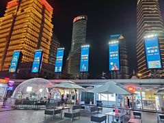 -东方明珠广播电视塔