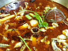 -海岛八号龙虾烧烤田鸡(蓝天路总店)