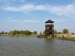 -盐城丹顶鹤湿地生态旅游区
