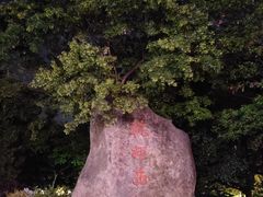 -知味观(湖滨总店)