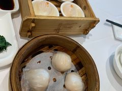 -粤式早茶希朋喜宴