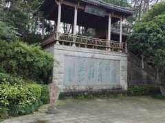 -千岛湖东南湖区