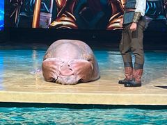 -哈尔滨波塞冬海底世界