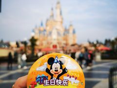 -上海迪士尼度假区