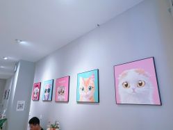 -洗脸猫·洗脸吧