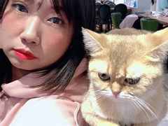 -猫小院猫主题餐厅(三里屯店)