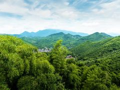 -山沟沟景区