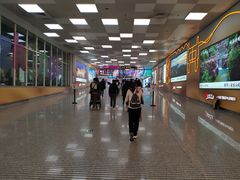-郑州新郑国际机场