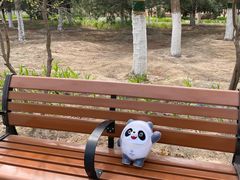 -大兴滨河森林公园