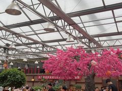 -老磨油饼(高陵店)
