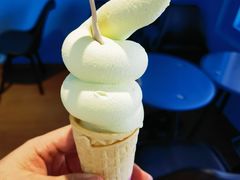-萨朗刀克冰淇淋雪花凉(植物园店)