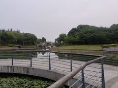 -贡湖湾湿地公园
