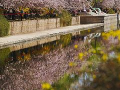 -海棠花溪(元大都城垣遗址公园)