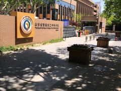 -山东省青岛第二中学(江西路分校)