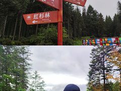 -硗碛藏寨·神木垒景区