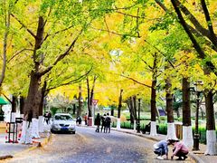 -八大关景区