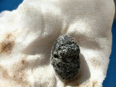 -派美特宠物医院·核磁CT·骨科肿瘤·疑难转诊(沈农禾丰店)