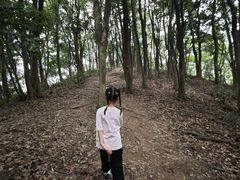-黄埔油麻山森林公园