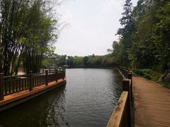 -大屏嶂森林公园