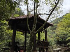 -安徽天堂寨风景区