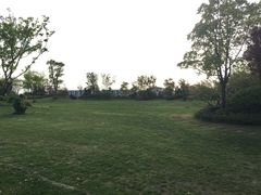 -上海崇明金茂凯悦酒店