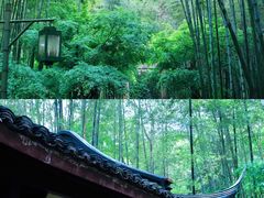 -云栖竹径