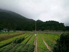 -孤山寨风景区