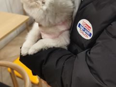 -汪说·狗咖(旺城大厦店)