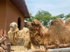 -祥源·阜阳生态乐园