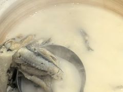 -丹江渔村(望京店)