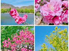-国家植物园