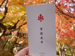 -常寂光寺