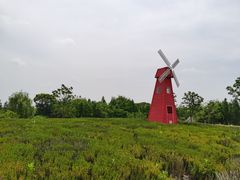 -同里国家湿地公园