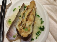 蒜蓉蒸竹蛏-富黎华海鲜大酒楼(正大广场店)