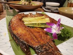 -紫滇源云南生态菜(丹凤街店)