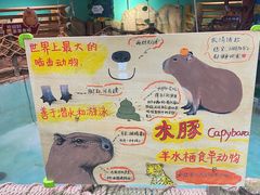 -正佳雨林生态植物园