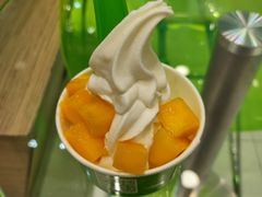 -Salud撒露欧洲冻酸奶(蓝色港湾店)