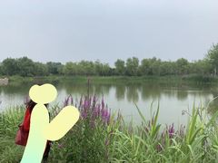 -东郊湿地公园