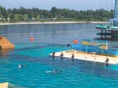 -秦皇岛乐岛海洋王国